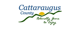 Cattaraugus County Family Court Logo