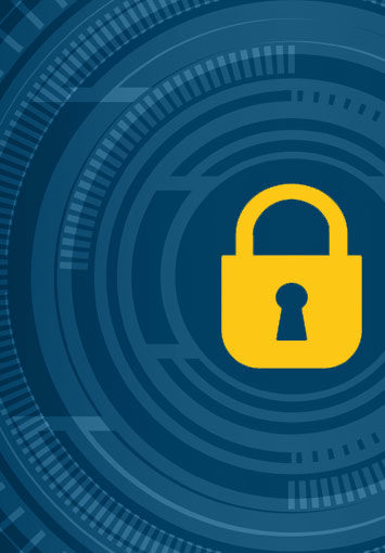 Data Privacy and Security