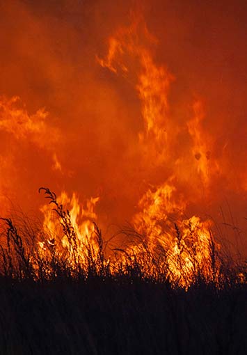 Fire shown to represent natural disasters